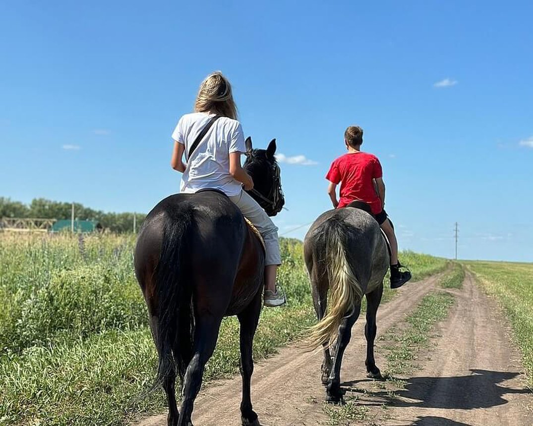 Конная прогулка для двоих. Конный клуб Konipark в Красноярске